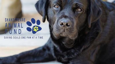 Shakespeare Animal Fund