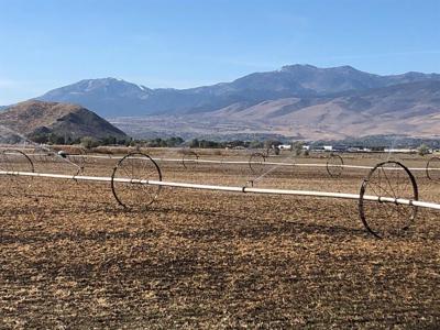 UNR Farms Expected to Stay Undeveloped