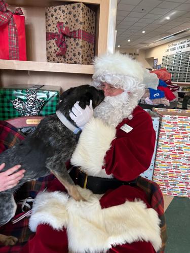 santa humane society 2.jpg