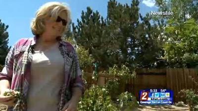 Growing a Wine Industry in Nevada