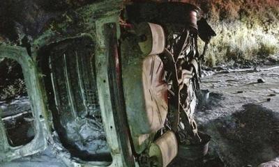 Bear Falls On California Patrol Car Causing It To Crash And Burst Into Flames