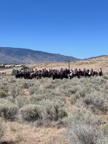 Reno Rodeo 2025 Cattle Drive - final trek to rodeo grounds 16