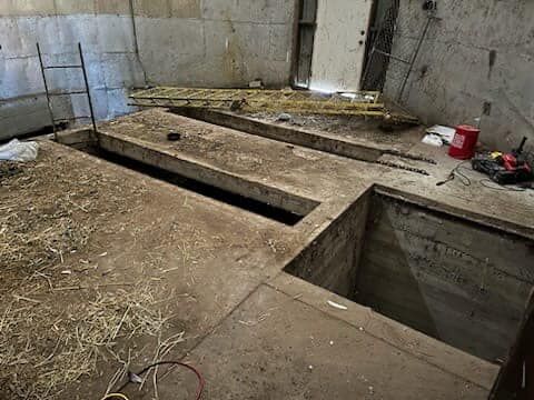 Eldorado County Search and Rescue - Horse Rescue 1.jpg