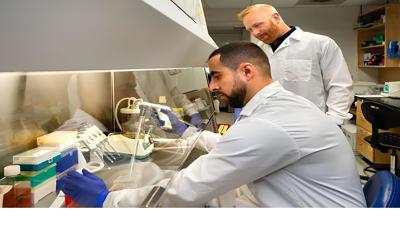 UNR research finds key differences in animal-free dairy proteins that may impact gut health