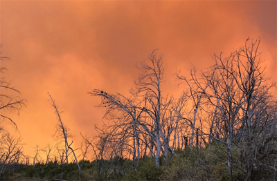 California's Largest Wildfire Started by Hammer Sparks