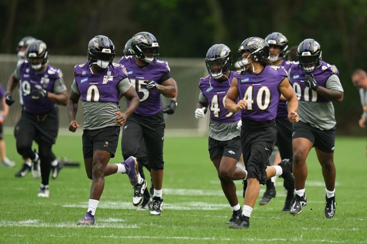 Ravens Football