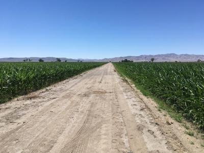 Fallon Farmers Benefit From Full Water Year