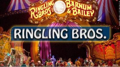'Greatest Show On Earth' Circus May Return Without Animals