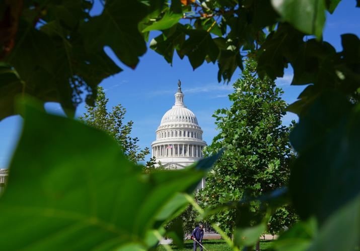 Capitol