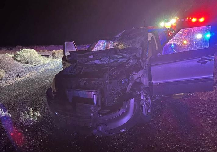 Horse damages car in Lyon County