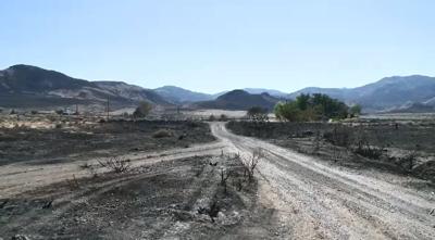 Sutcliffe Residents Rescued from Fire Express Gratitude to Firefighters