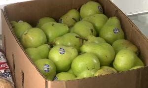 A Reno School's Lunch Revolution