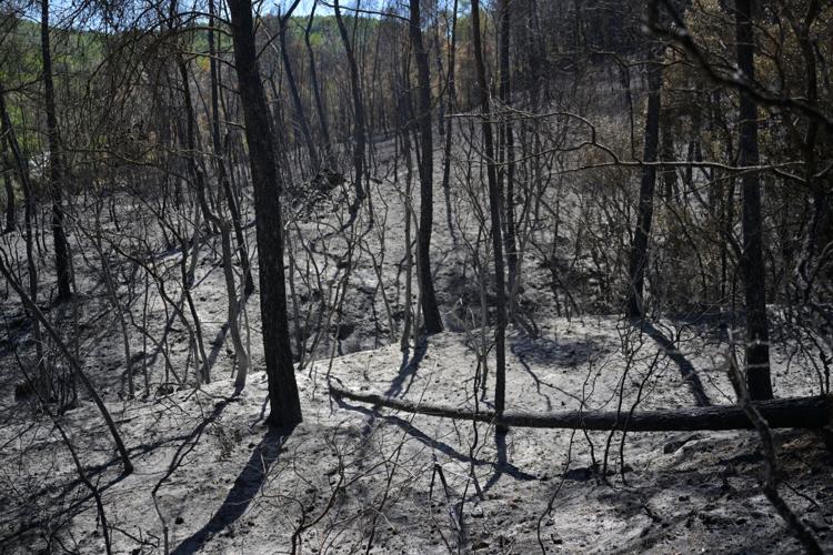 France Wildfires