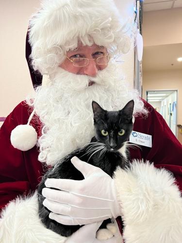 santa humane society 3.jpg