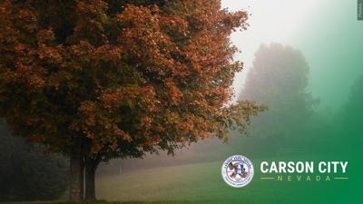Tree with Carson City logo