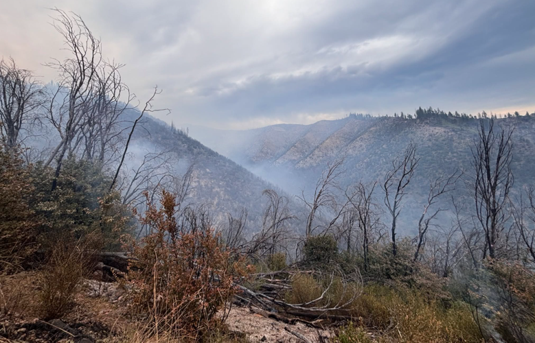 Twain Fire 2