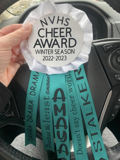 NVHS award.PNG