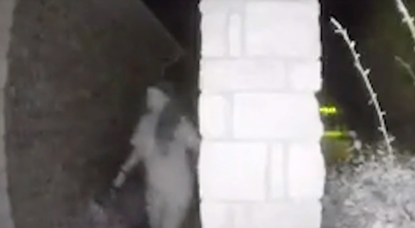 Woman Seen in Video in Restraints Found, Not Woman Missing From Reno