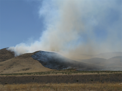 Piper Fire Near Silver Springs Fully Contained