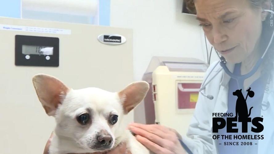 Free Pet Wellness Clinic - Feeding Pets of the Homeless logo