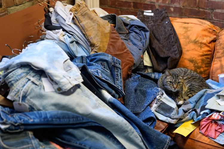 Climate Choices Sustainable Denim