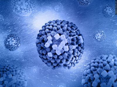 flu virus.jpg