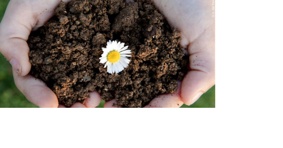 Governor Steve Sisolak proclaims August 29 as "Environmental Justice Day" | News - Vimarsana News