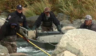 Biologists Use Electrofishing to Conduct Research