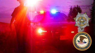 Police Lights with DOJ seal and NCSO badge