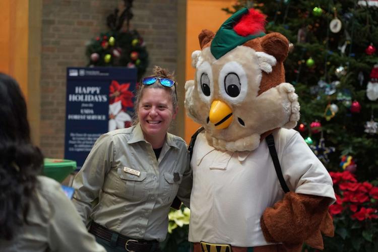 U.S. Capitol Christmas Tree 3.jpg