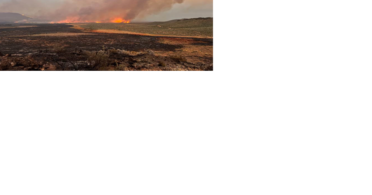 Wildcat Fire Near Wells, Nevada grows to 21,400 Acres, 10% Contained - Vimarsana News