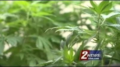 Marijuana Supporters Move to Broaden its Legality in Nevada