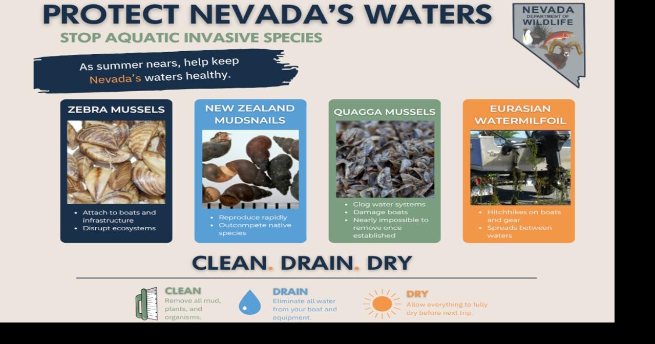 Nevada agencies warn summer boaters of growing threat beneath state waters