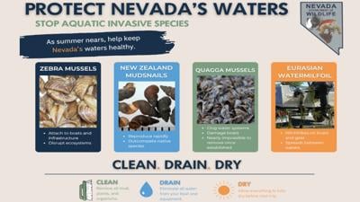 Invasive species warning for Nevada water recreation.jpg