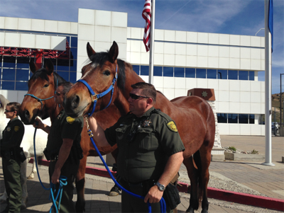 Washoe County Sheriff's Office to Revive Mounted Horse Unit