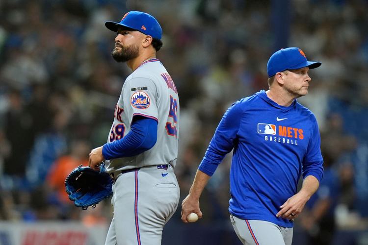 Mets Rays Baseball