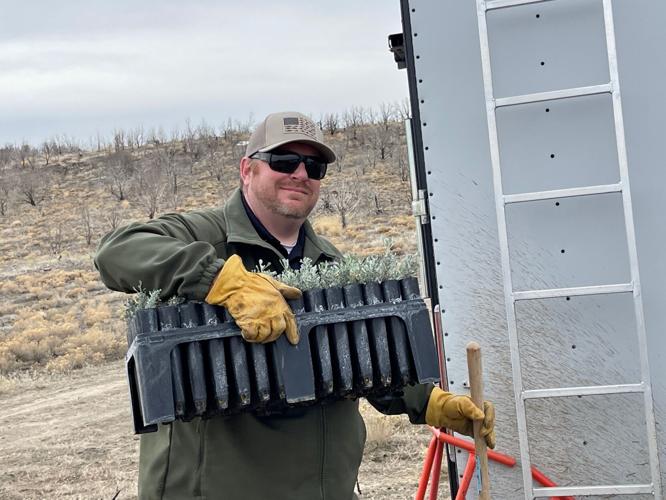 Sage Brush Planting to Restore Wildlife