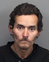 Reno Police Identifies Person of Interest in Traner Pool Vandalism