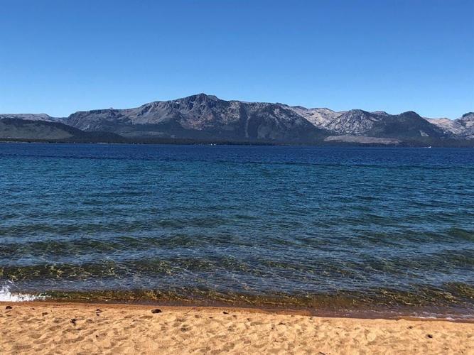 Western States Work on Fighting Invasive Species