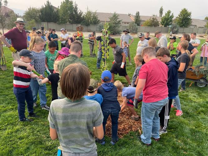 Volunteers Plant 60 Trees at Horizon View Park