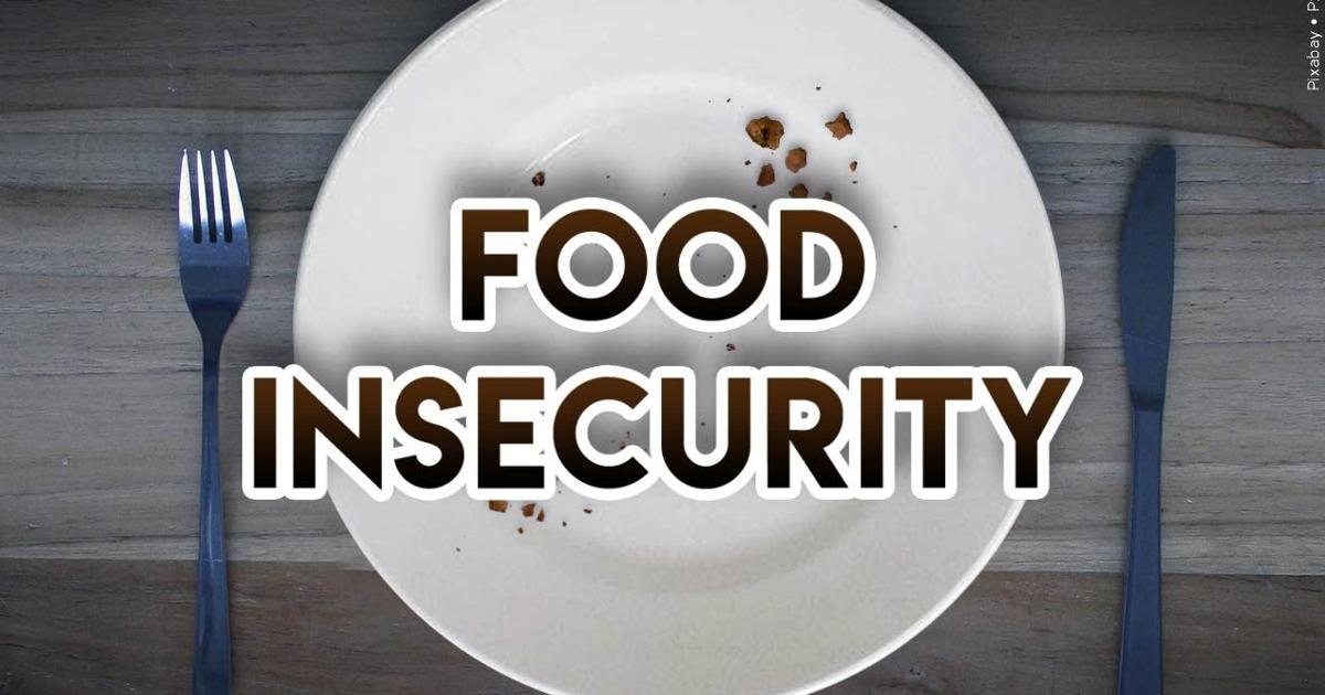 Reno Food Systems befasst sich mit Ernährungsunsicherheit und stellt lokale Produktspenden bereit |  Lokalnachrichten Reno Food Systems befasst sich mit Ernährungsunsicherheit und stellt lokale Produktspenden bereit |  Lokalnachrichten