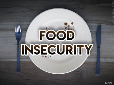 FOOD INSECURITY GENERIC, HUNGRY