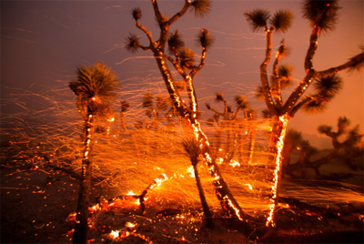 Homes Burned as Winds Push California Fire Into Desert Floor