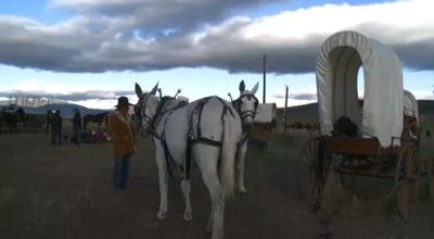 The Cattle Drive Gives City-Slickers A Taste Of The Old West
