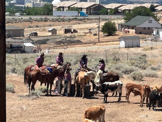 Reno Rodeo 2025 Cattle Drive - final trek to rodeo grounds 29