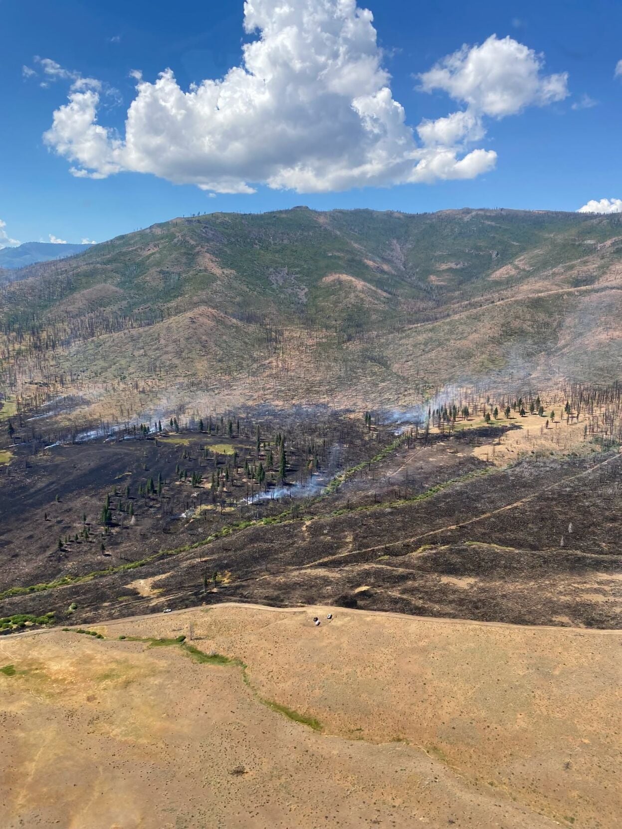 Elephant Fire NF 2.jpeg
