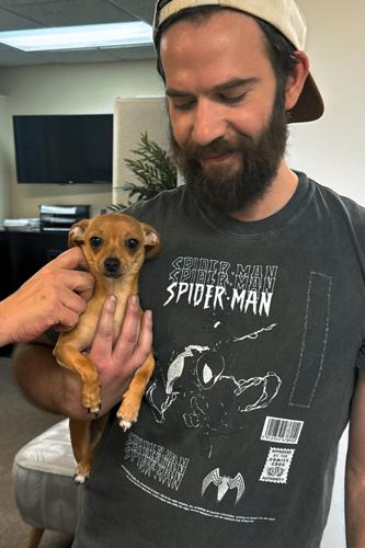 Google AI Death Lawsuit