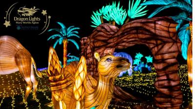 Dragon Lights 2026 .jpg