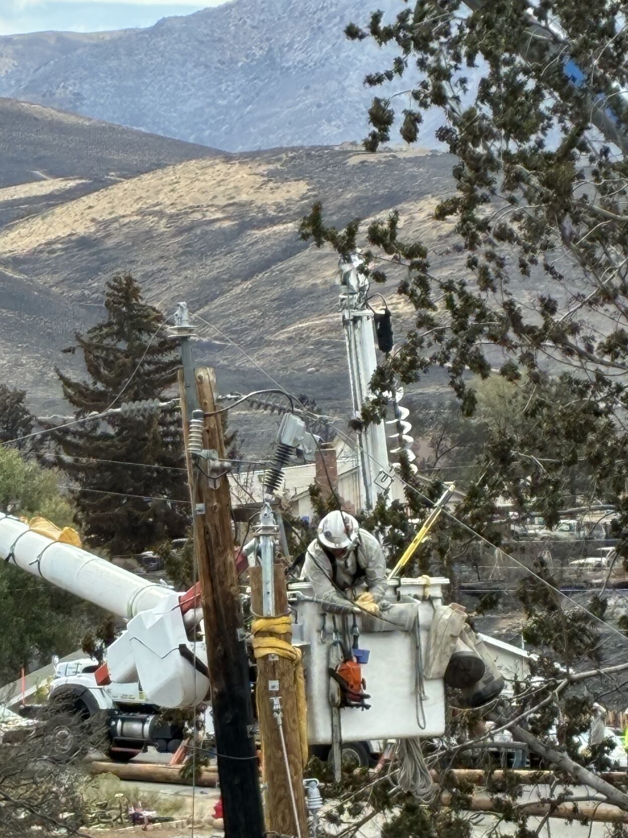 NVE Hawk Fire 3.jpg