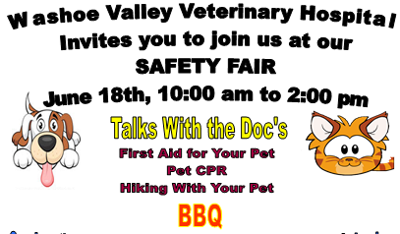 Safety Fair at Washoe Valley Veterinary Hospital